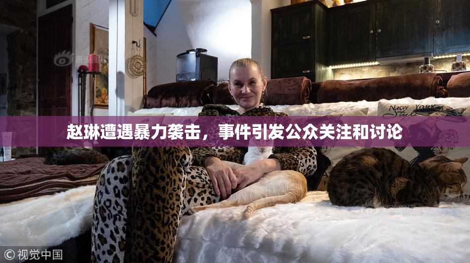 赵琳遭遇暴力袭击，事件引发公众关注和讨论