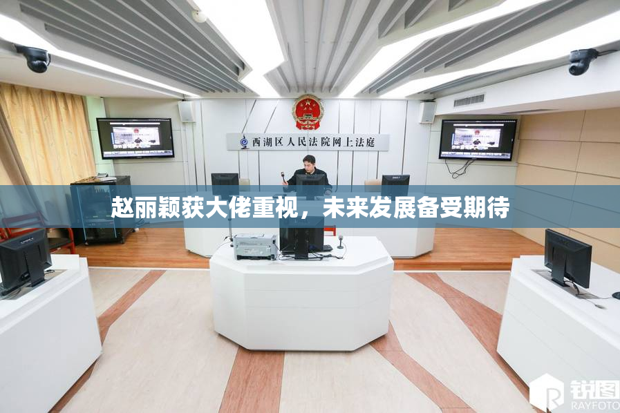 赵丽颖获大佬重视，未来发展备受期待