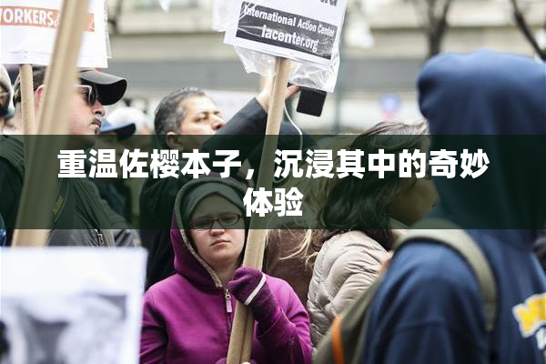 重温佐樱本子，沉浸其中的奇妙体验