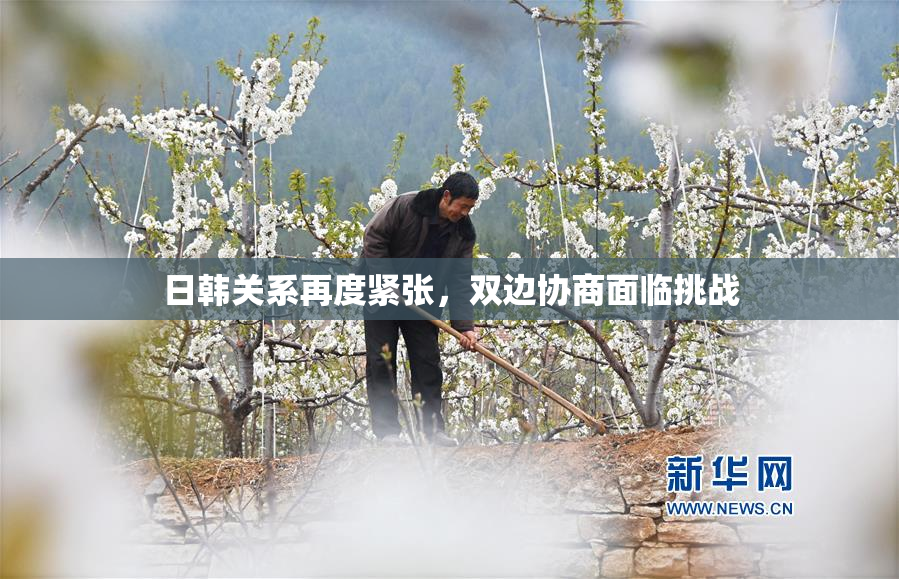 日韩关系再度紧张，双边协商面临挑战