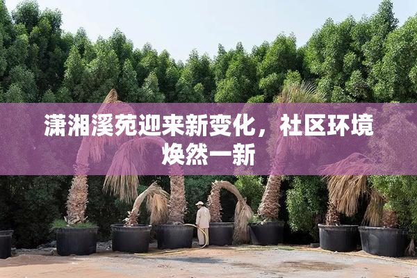潇湘溪苑迎来新变化，社区环境焕然一新