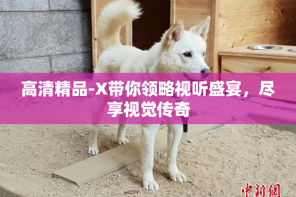高清精品-X带你领略视听盛宴，尽享视觉传奇