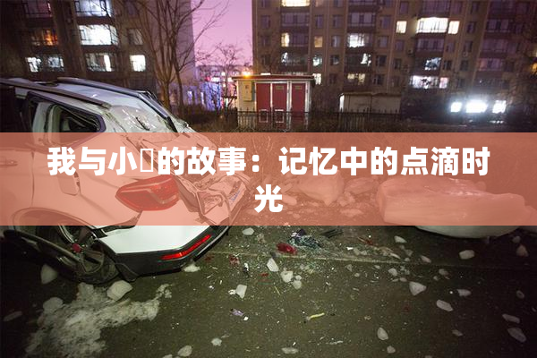 我与小娻的故事：记忆中的点滴时光
