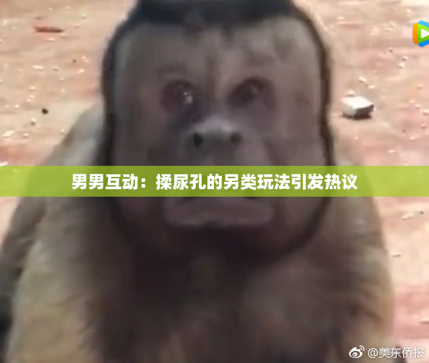 男男互动：揉尿孔的另类玩法引发热议