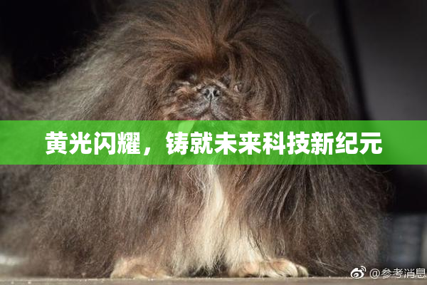黄光闪耀，铸就未来科技新纪元