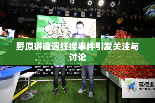野原琳遭遇狂揉事件引发关注与讨论