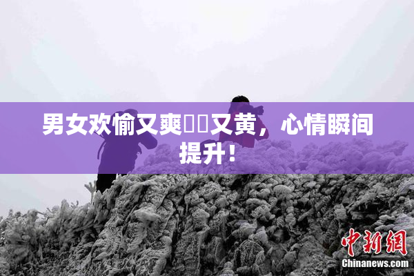 男女欢愉又爽❌‌又黄，心情瞬间提升！