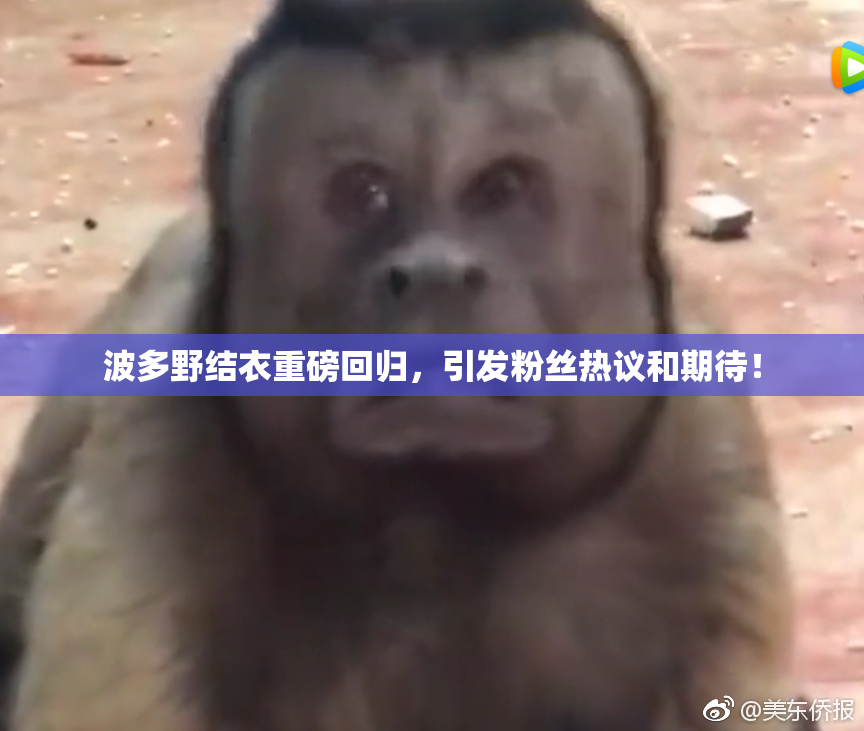 波多野结衣重磅回归，引发粉丝热议和期待！
