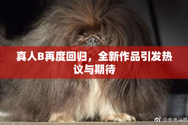 真人B再度回归，全新作品引发热议与期待