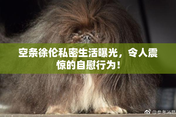 空条徐伦私密生活曝光，令人震惊的自慰行为！