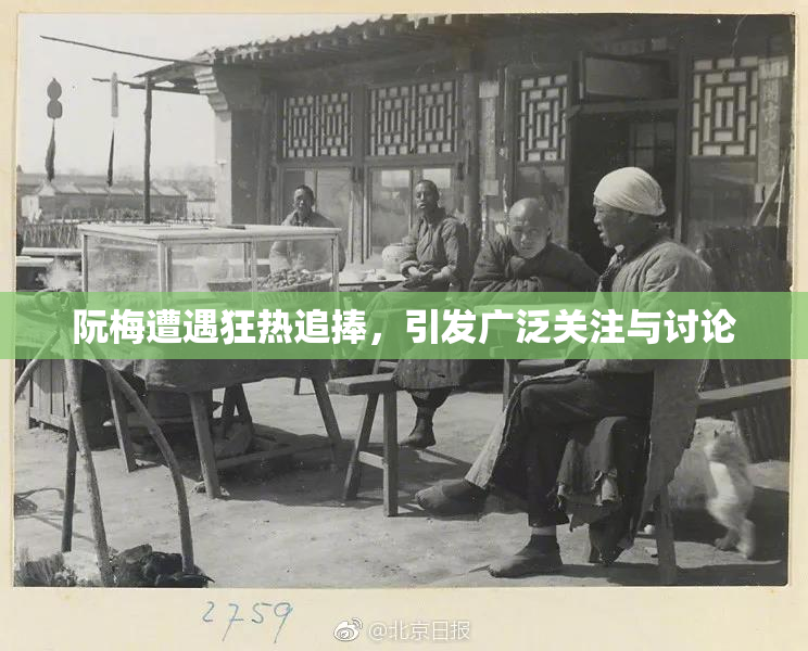 阮梅遭遇狂热追捧，引发广泛关注与讨论