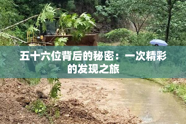五十六位背后的秘密：一次精彩的发现之旅