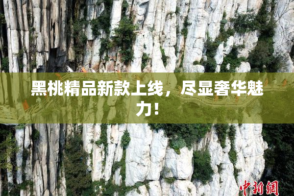 黑桃精品新款上线，尽显奢华魅力！
