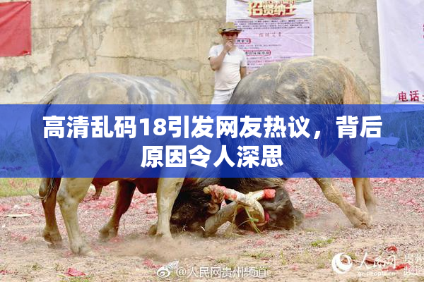 高清乱码18引发网友热议，背后原因令人深思