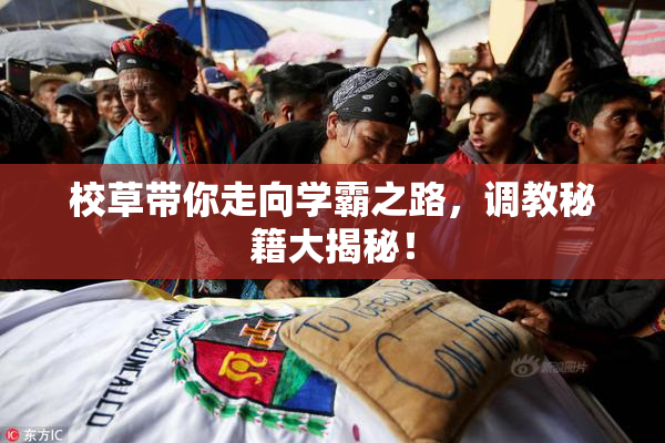 校草带你走向学霸之路，调教秘籍大揭秘！
