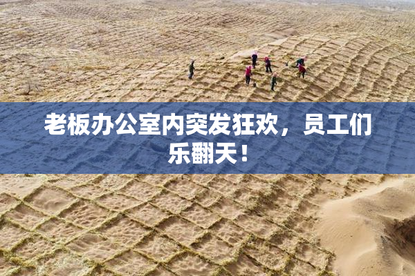 老板办公室内突发狂欢，员工们乐翻天！