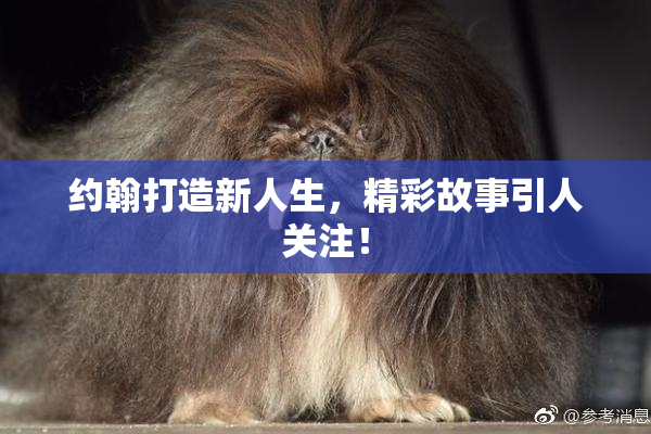 约翰打造新人生，精彩故事引人关注！