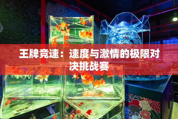 王牌竞速：速度与激情的极限对决挑战赛