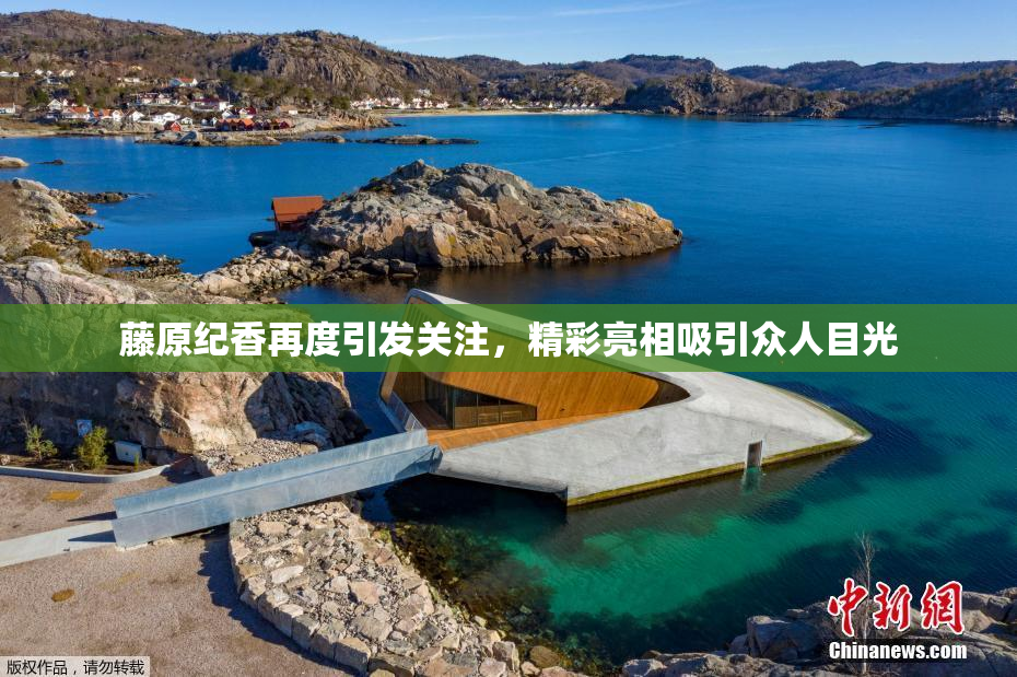 藤原纪香再度引发关注，精彩亮相吸引众人目光