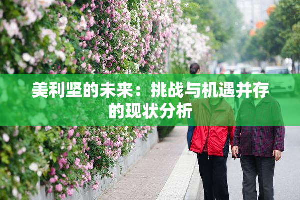 美利坚的未来：挑战与机遇并存的现状分析