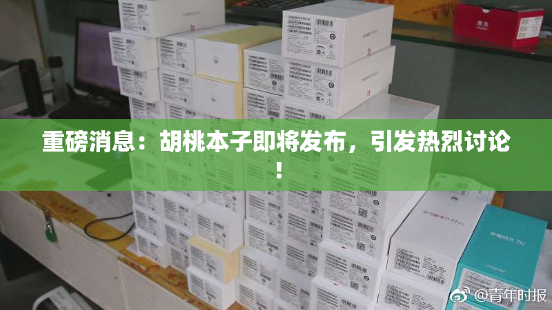 重磅消息：胡桃本子即将发布，引发热烈讨论！