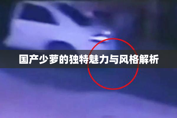 国产少萝的独特魅力与风格解析