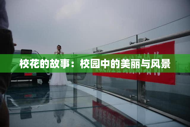 校花的故事：校园中的美丽与风景