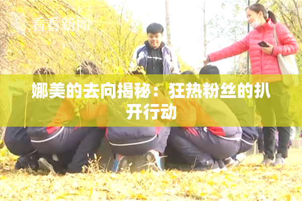 娜美的去向揭秘：狂热粉丝的扒开行动