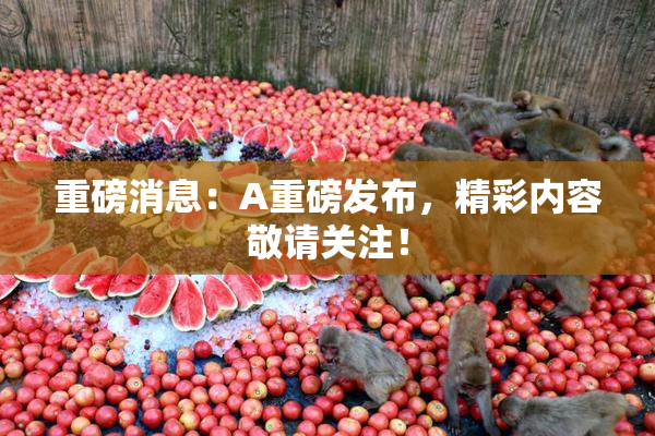 重磅消息：A重磅发布，精彩内容敬请关注！