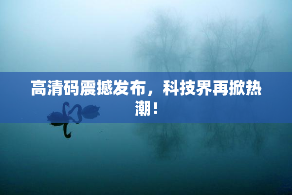高清码震撼发布，科技界再掀热潮！