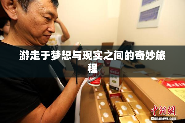 游走于梦想与现实之间的奇妙旅程