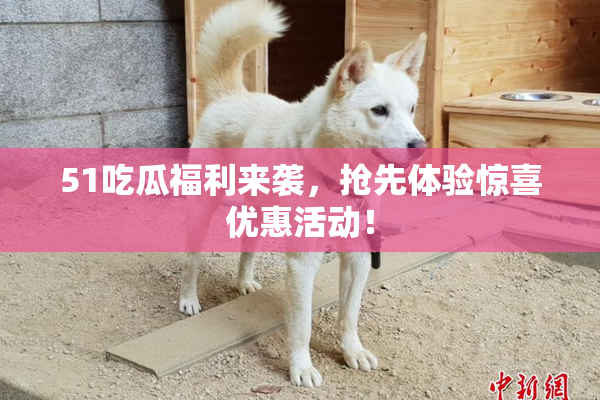 51吃瓜福利来袭，抢先体验惊喜优惠活动！