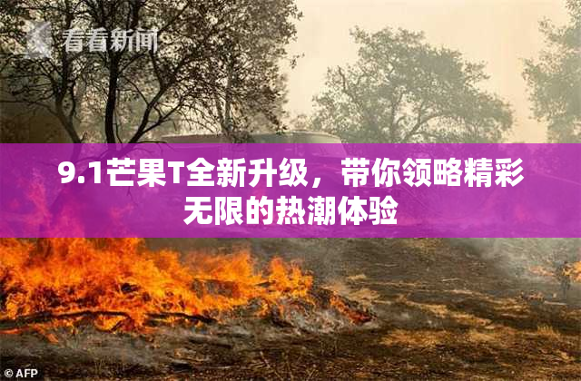 9.1芒果T全新升级，带你领略精彩无限的热潮体验