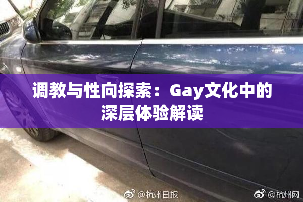 调教与性向探索：Gay文化中的深层体验解读