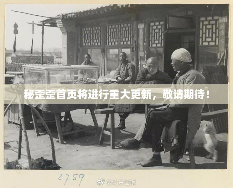 秘歪歪首页将进行重大更新，敬请期待！