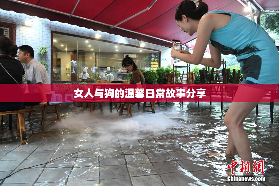 女人与狗的温馨日常故事分享