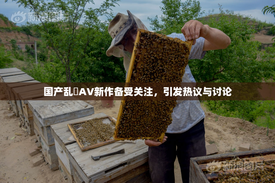 国产乱婬AV新作备受关注，引发热议与讨论