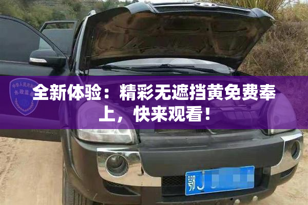 全新体验：精彩无遮挡黄免费奉上，快来观看！