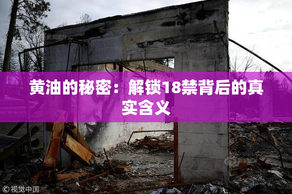 黄油的秘密：解锁18禁背后的真实含义
