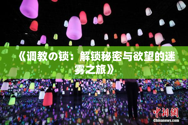 《调教の锁：解锁秘密与欲望的迷雾之旅》