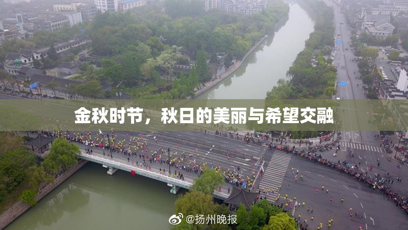 金秋时节，秋日的美丽与希望交融