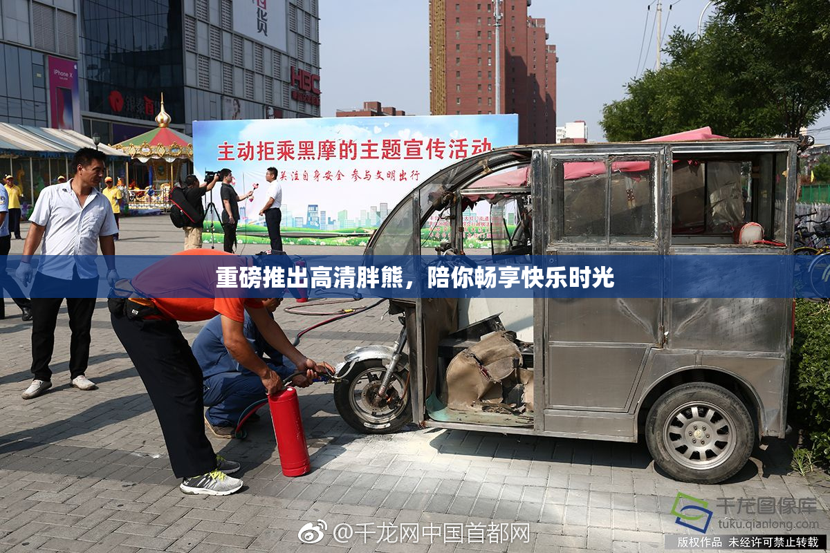 重磅推出高清胖熊，陪你畅享快乐时光