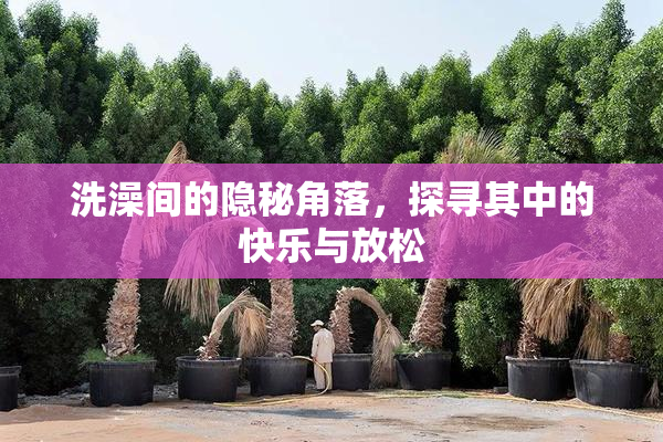 洗澡间的隐秘角落，探寻其中的快乐与放松