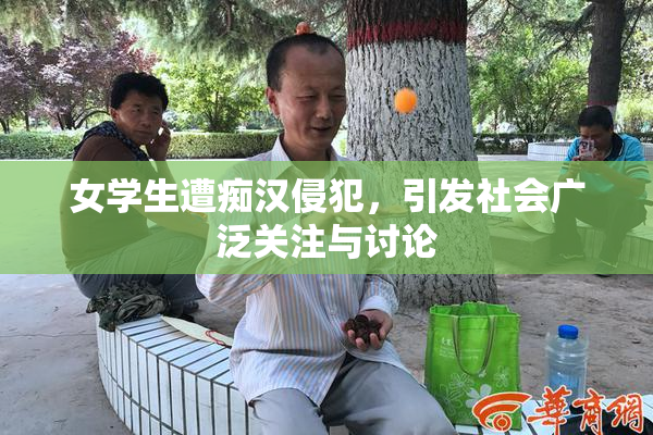 女学生遭痴汉侵犯，引发社会广泛关注与讨论
