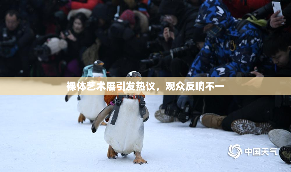 裸体艺术展引发热议，观众反响不一