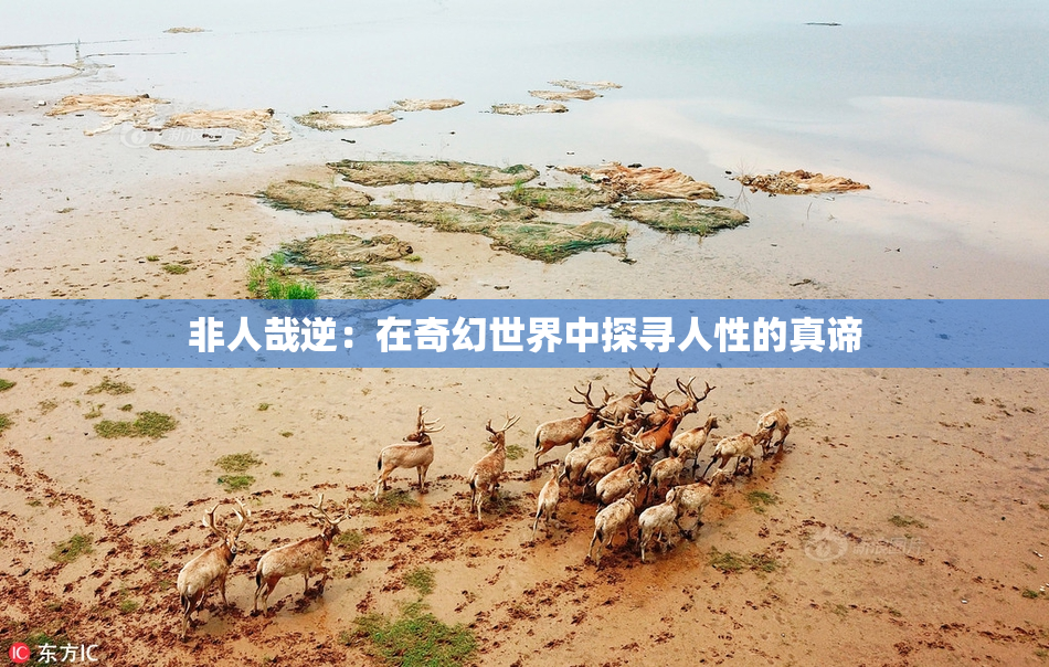 非人哉逆：在奇幻世界中探寻人性的真谛