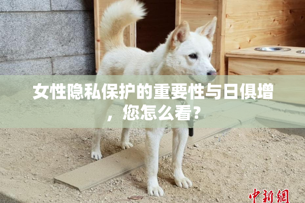 女性隐私保护的重要性与日俱增，您怎么看？