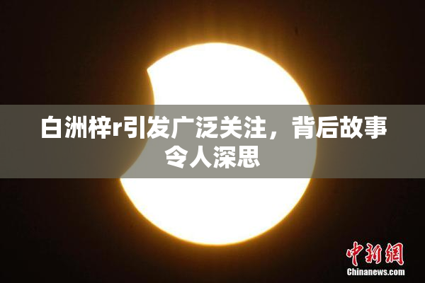 白洲梓r引发广泛关注，背后故事令人深思