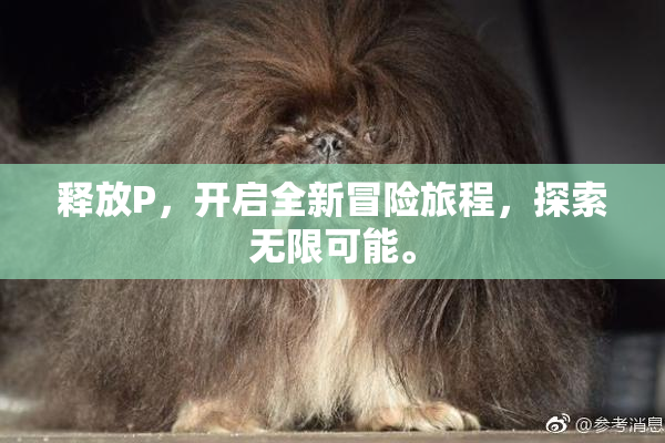 释放P，开启全新冒险旅程，探索无限可能。
