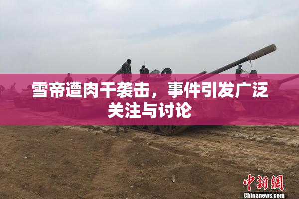 雪帝遭肉干袭击，事件引发广泛关注与讨论